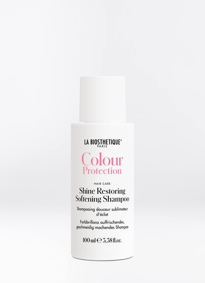 Farbschutz-Glanz-wiederherstellendes und pflegendes Shampoo (100 ml)