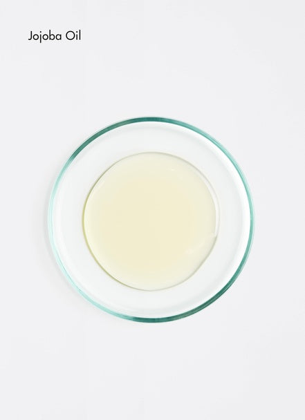 Glanzcreme (50 ml)
