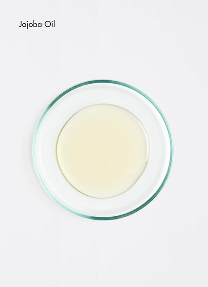 Glanzcreme (50 ml)